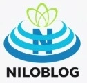 پارتیشن ریلی